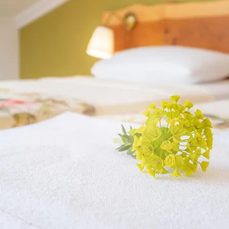 Aparthotel Garden House *