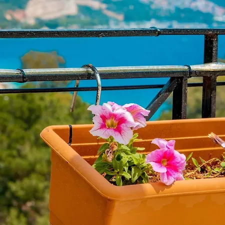 Aparthotel Garden House